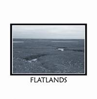 Flatlands : Come For The Boredom... Stay For The Monotony...